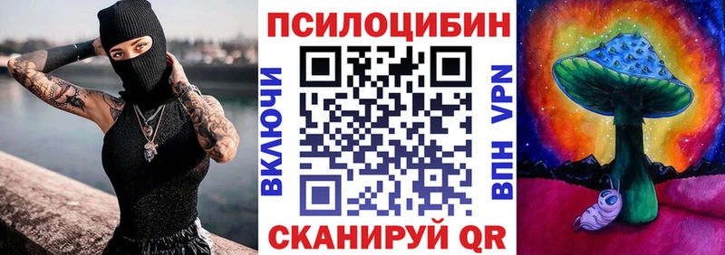 наркота  Димитровград  Псилоцибиновые грибы ЛСД 