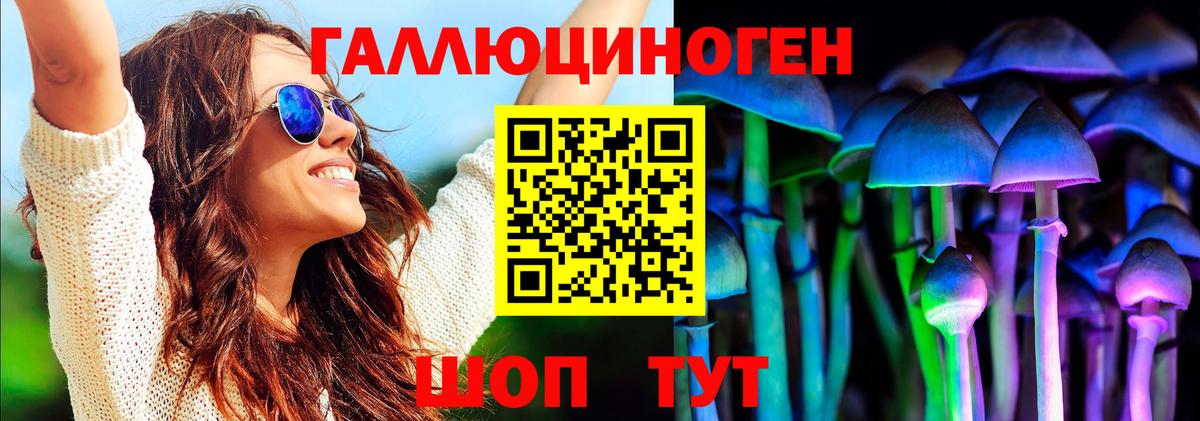 Псилоцибиновые грибы Cubensis  Вход с VPN  даркнет сайт  Псилоцибиновые грибы Psilocybine cubensis  Димитровград 