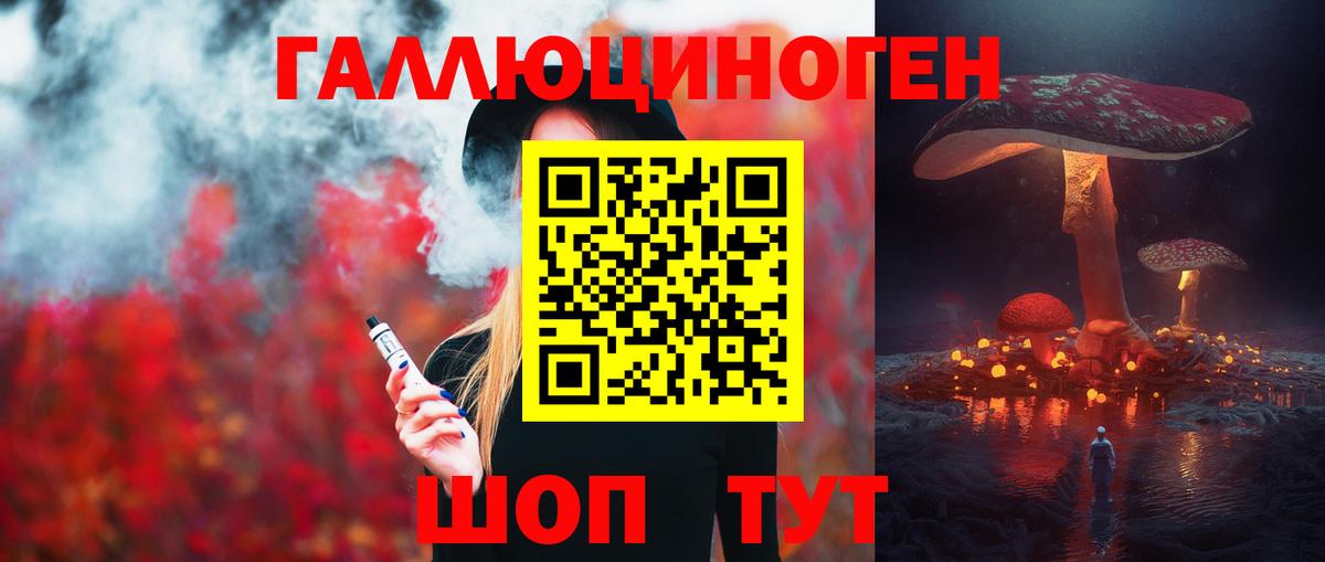Галлюциногенные грибы Psilocybine cubensis Димитровград